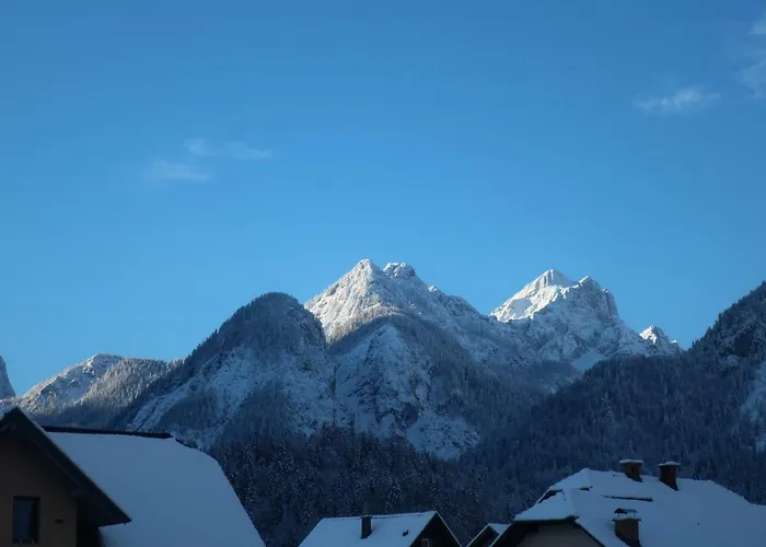 Maya * Kranjska Gora